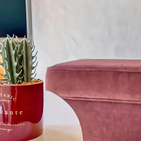 La Terrasse De Georges *